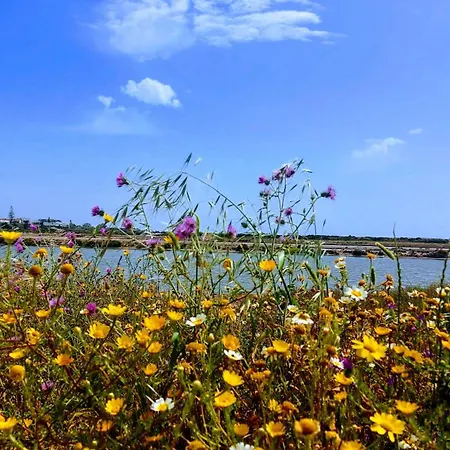 Casa Vaso * Moncarapacho